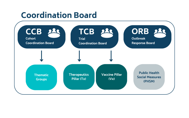 CoMeCT Coordination Board